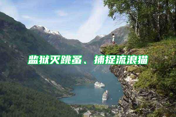 監獄滅跳蚤、捕捉流浪貓