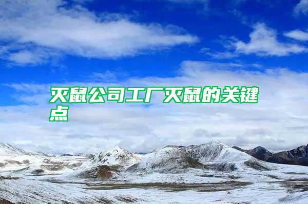 滅鼠公司工廠滅鼠的關(guān)鍵點(diǎn)