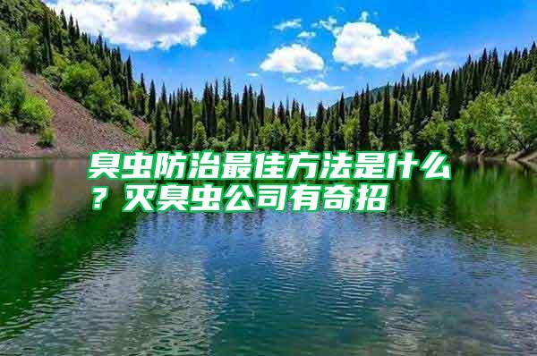 臭蟲防治最佳方法是什么？滅臭蟲公司有奇招