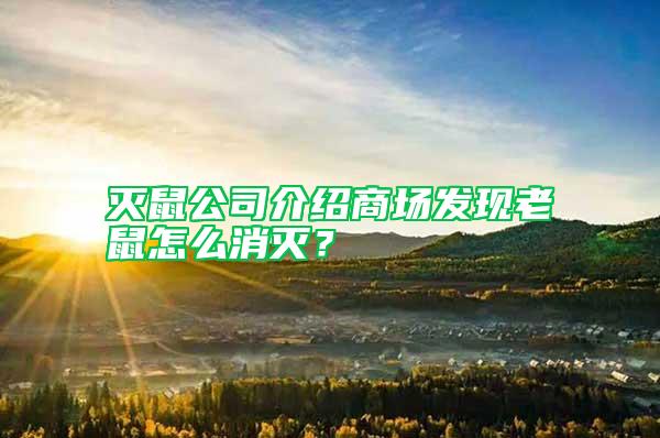 滅鼠公司介紹商場發(fā)現(xiàn)老鼠怎么消滅？