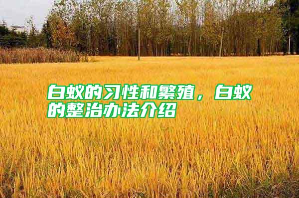 白蟻的習(xí)性和繁殖，白蟻的整治辦法介紹