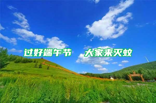 過好端午節(jié)  大家來滅蚊