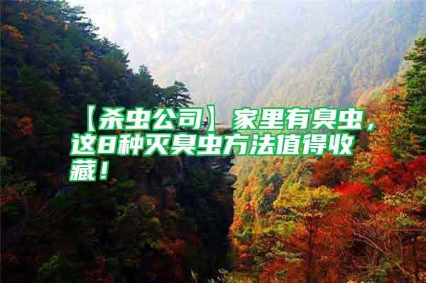 【殺蟲公司】家里有臭蟲，這8種滅臭蟲方法值得收藏！