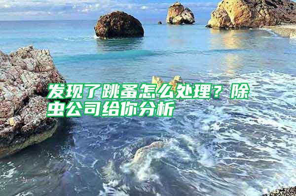 發現了跳蚤怎么處理？除蟲公司給你分析