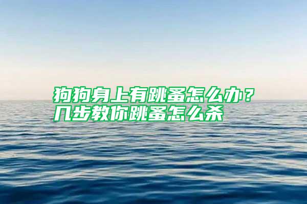 狗狗身上有跳蚤怎么辦？幾步教你跳蚤怎么殺