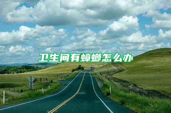 衛(wèi)生間有蟑螂怎么辦