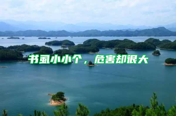 書虱小小個，危害卻很大
