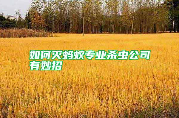 如何滅螞蟻專(zhuān)業(yè)殺蟲(chóng)公司有妙招