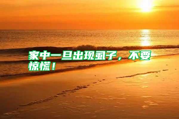 家中一旦出現虱子，不要驚慌！