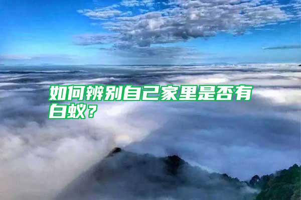如何辨別自己家里是否有白蟻？
