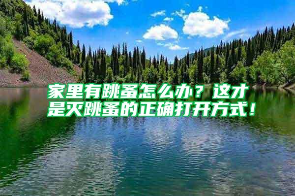 家里有跳蚤怎么辦？這才是滅跳蚤的正確打開方式！