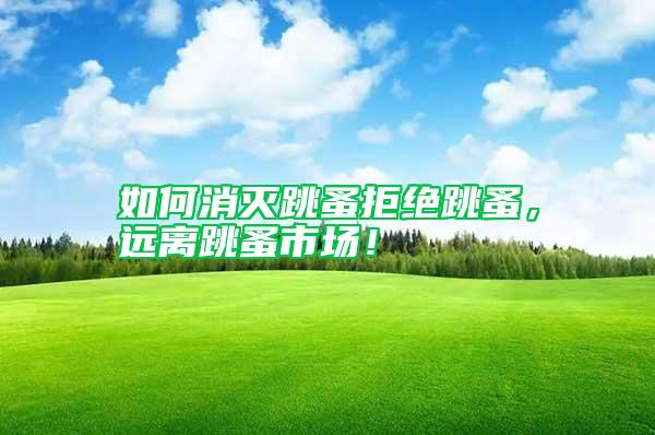 如何消滅跳蚤拒絕跳蚤，遠(yuǎn)離跳蚤市場(chǎng)！