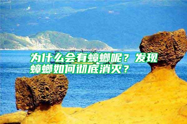 為什么會有蟑螂呢？發(fā)現(xiàn)蟑螂如何徹底消滅？