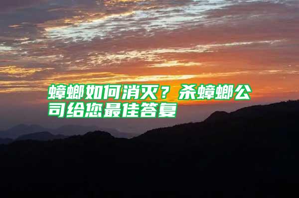 蟑螂如何消滅？殺蟑螂公司給您最佳答復