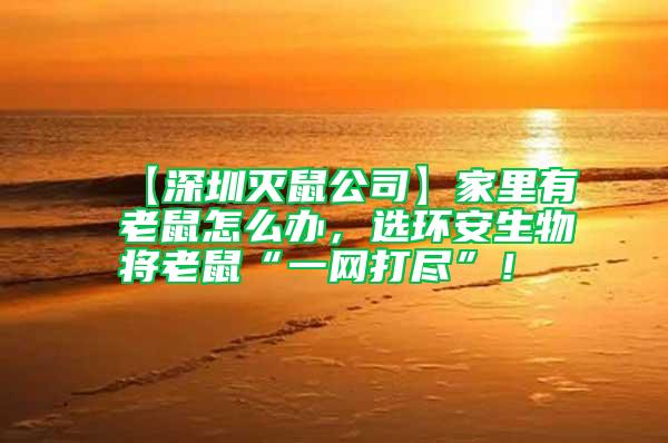 【深圳滅鼠公司】家里有老鼠怎么辦，選環(huán)安生物將老鼠“一網(wǎng)打盡”！