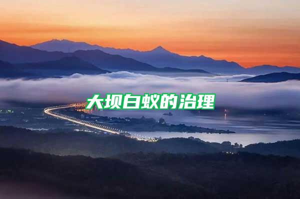大壩白蟻的治理