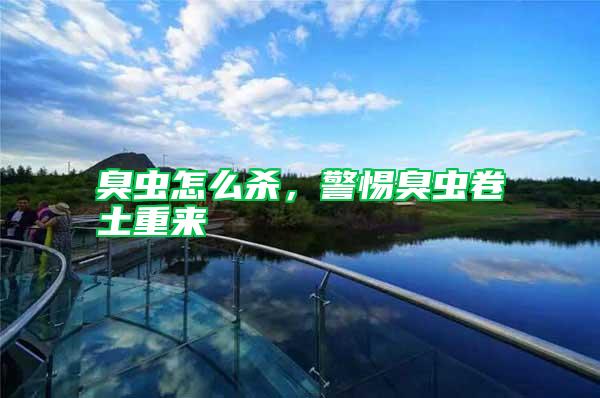 臭蟲(chóng)怎么殺，警惕臭蟲(chóng)卷土重來(lái)