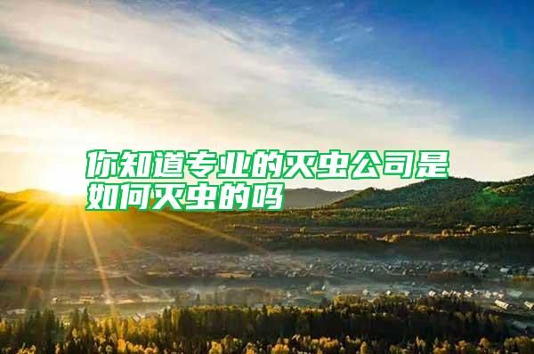 你知道專業(yè)的滅蟲公司是如何滅蟲的嗎