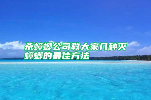 殺蟑螂公司教大家幾種滅蟑螂的最佳方法