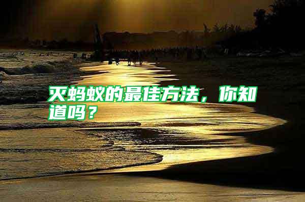 滅螞蟻的最佳方法，你知道嗎？