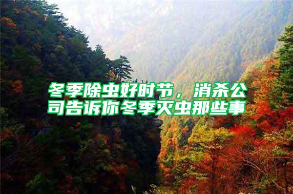 冬季除蟲好時節，消殺公司告訴你冬季滅蟲那些事