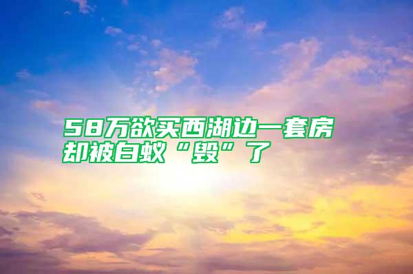 58萬欲買西湖邊一套房 卻被白蟻“毀”了