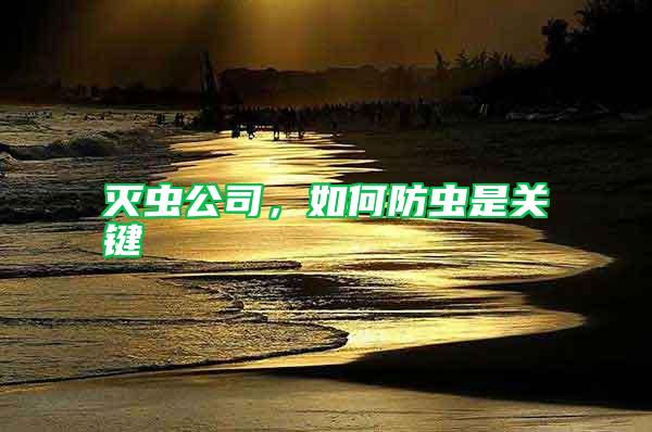 滅蟲公司，如何防蟲是關鍵