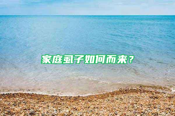 家庭虱子如何而來？