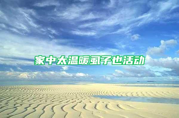 家中太溫暖虱子也活動(dòng)