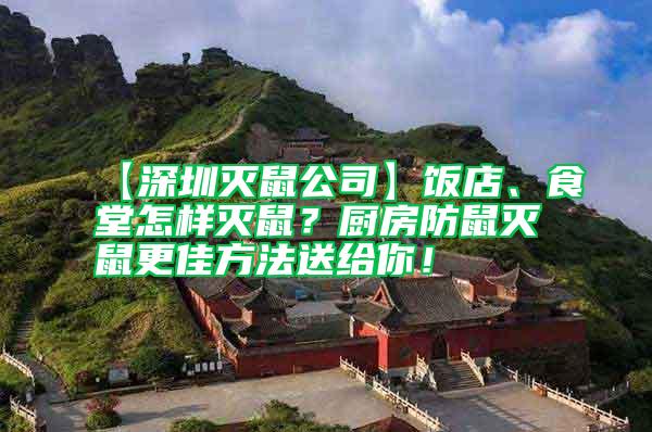 【深圳滅鼠公司】飯店、食堂怎樣滅鼠？廚房防鼠滅鼠更佳方法送給你！