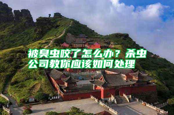 被臭蟲(chóng)咬了怎么辦？殺蟲(chóng)公司教你應(yīng)該如何處理