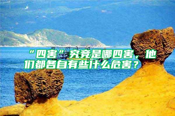 “四害”究競是哪四害，他們都各自有些什么危害？