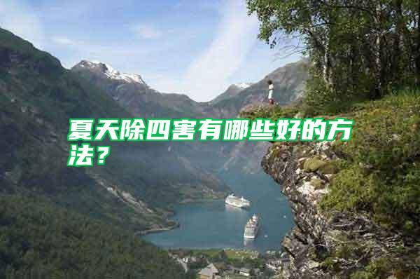 夏天除四害有哪些好的方法？