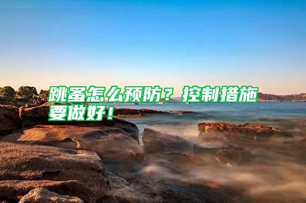 跳蚤怎么預防？控制措施要做好！