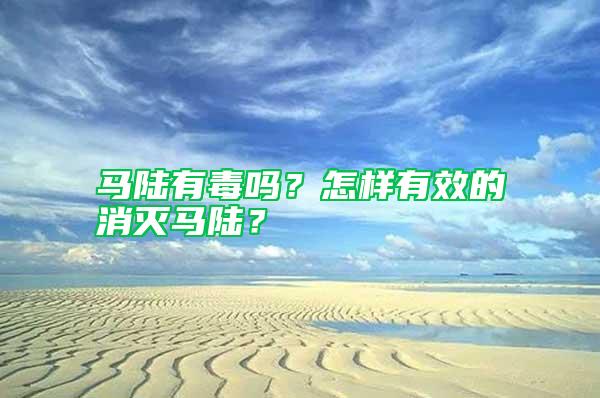 馬陸有毒嗎？怎樣有效的消滅馬陸？