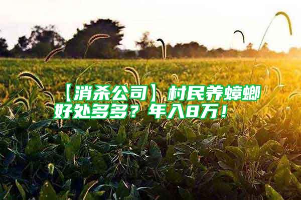 【消殺公司】村民養蟑螂好處多多？年入8萬！