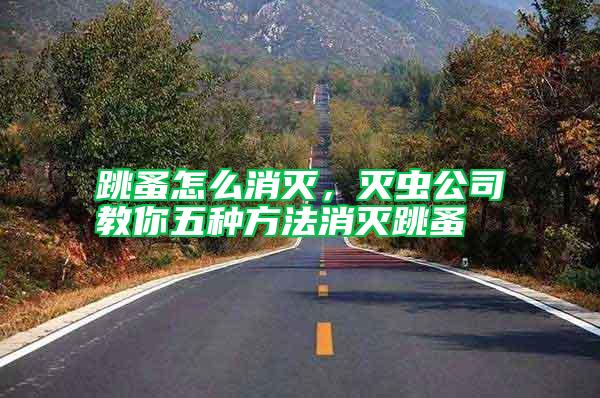 跳蚤怎么消滅，滅蟲公司教你五種方法消滅跳蚤