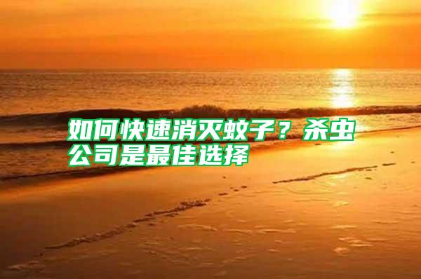 如何快速消滅蚊子？殺蟲公司是最佳選擇