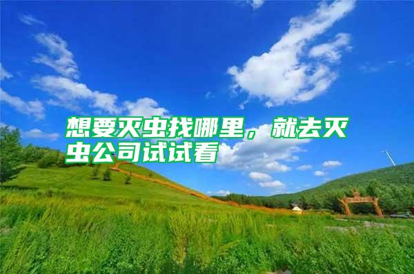 想要滅蟲找哪里，就去滅蟲公司試試看