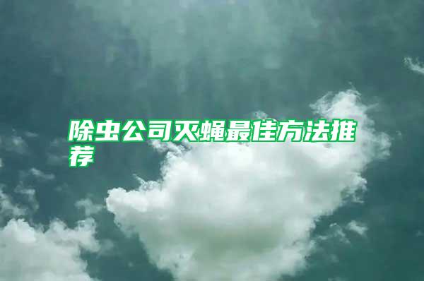 除蟲(chóng)公司滅蠅最佳方法推薦