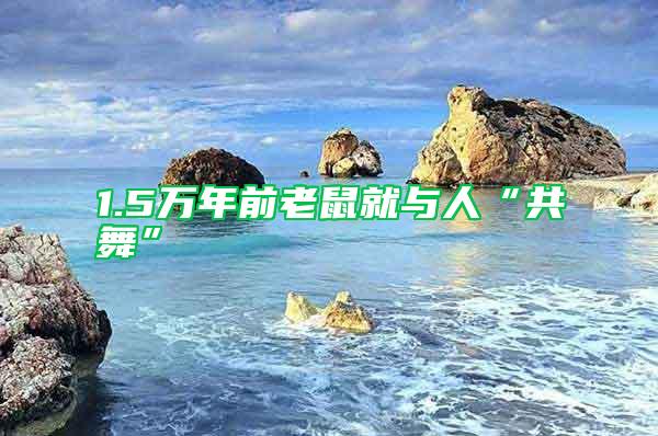 1.5萬年前老鼠就與人“共舞”