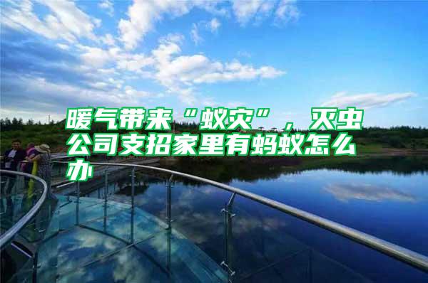 暖氣帶來“蟻災”，滅蟲公司支招家里有螞蟻怎么辦