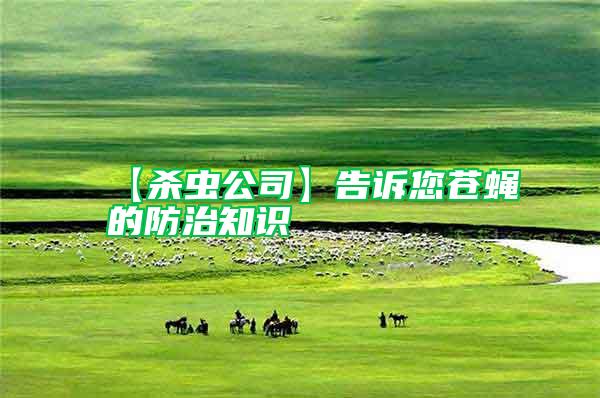 【殺蟲(chóng)公司】告訴您蒼蠅的防治知識(shí)