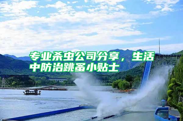 專(zhuān)業(yè)殺蟲(chóng)公司分享，生活中防治跳蚤小貼士