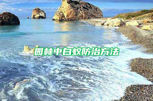 園林中白蟻防治方法
