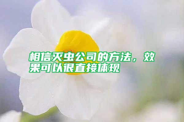 相信滅蟲公司的方法，效果可以很直接體現