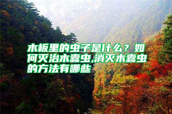 木板里的蟲子是什么？如何滅治木蠹蟲,消滅木蠹蟲的方法有哪些