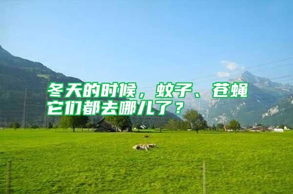 冬天的時(shí)候，蚊子、蒼蠅它們都去哪兒了？