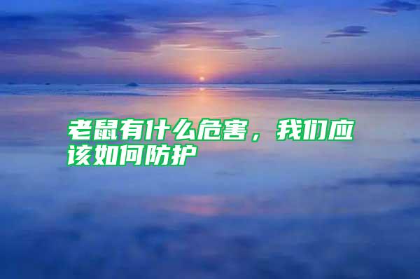 老鼠有什么危害，我們應(yīng)該如何防護(hù)
