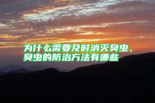 為什么需要及時消滅臭蟲，臭蟲的防治方法有哪些